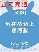 我在战场上搞后勤