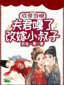 成亲当晚夫君嘎了,改嫁小叔子